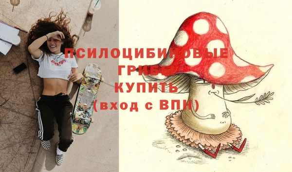 первитин Алексеевка