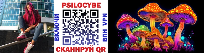 Галлюциногенные грибы мицелий закладка Данков